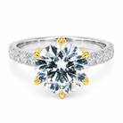 3.98 CT E-F/VVS-VS1 Solitaire Lab Grown Diamond Engagement Ring (Two-Tone)