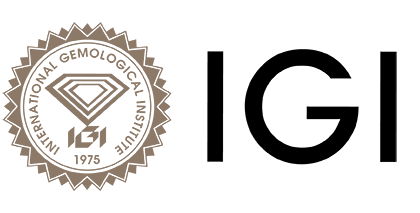 IGI Logo